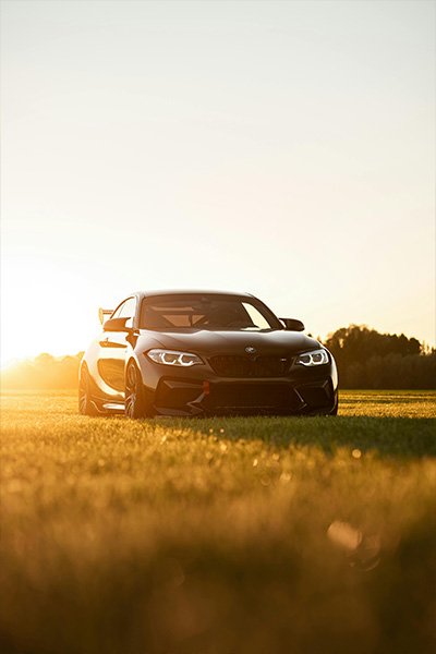 cardetaillingcagalry